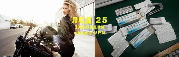 СК Аркадак
