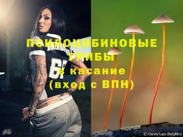 СК Аркадак