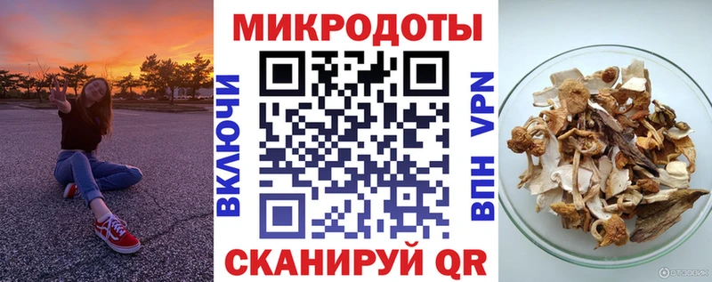 Псилоцибиновые грибы Psilocybine cubensis  Сураж 